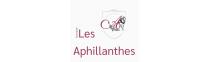 Les Aphillantes